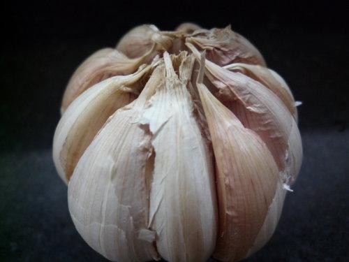 生拌茼蒿的做法